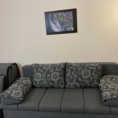 Apartmán Milenkovic *