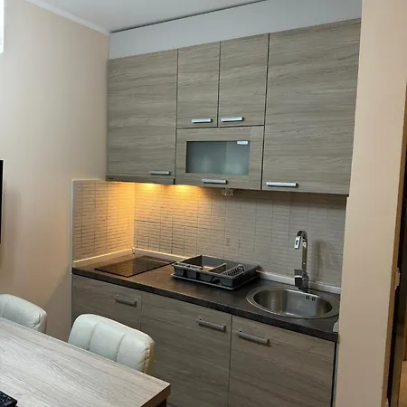 Milenkovic Apartment