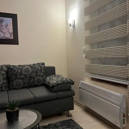 Milenkovic Apartment