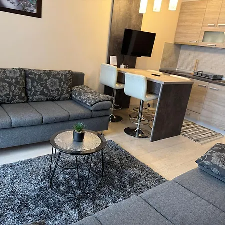 Apartment Milenkovic *